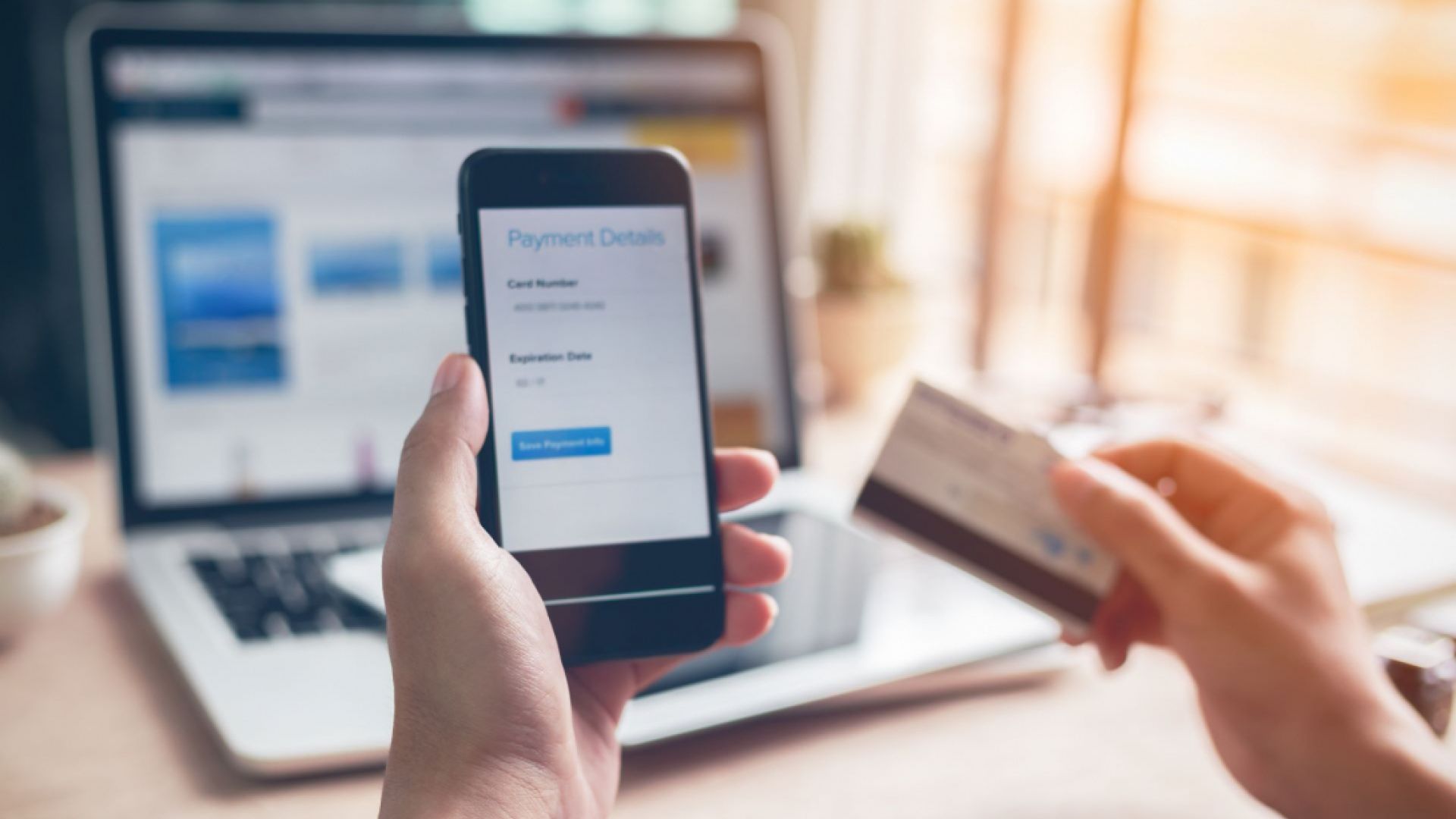 Image of person holding phone to purchase online