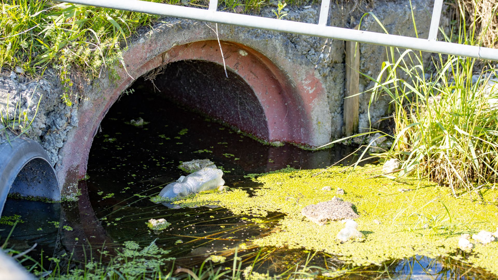 water quality standards POLLUTION RIVER