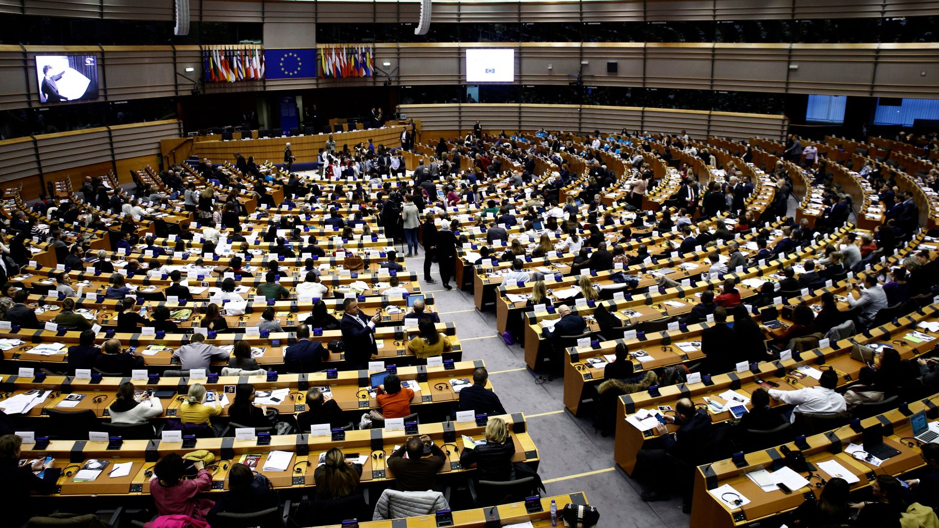 plenary brussels