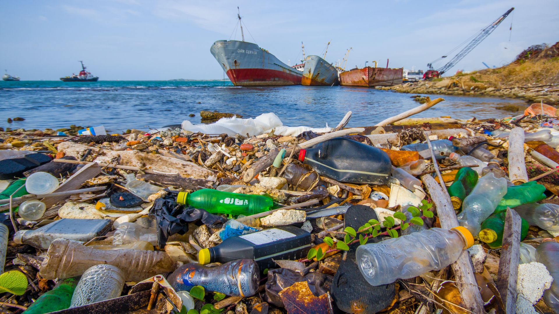 plastic marine pollution - bottles on beach