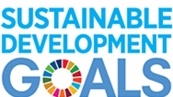 #EndEnergyPoverty,  S&amp;Ds for a new EU common vision on development policy, #TaxJustice, European Consensus on Development, Sustainable Development Goals (SDGs), economic, social and environmental dimensions, Norbert Neuser MEP, Linda McAvan MEP, 