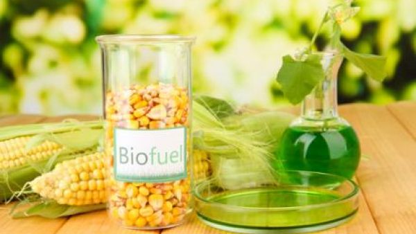 S&amp;Ds want to move towards advanced biofuels and avoid any food speculation